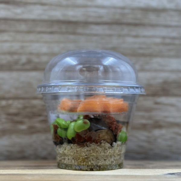 Bolivinės balandos su kepintais baklažanais ir sūdyta lašiša